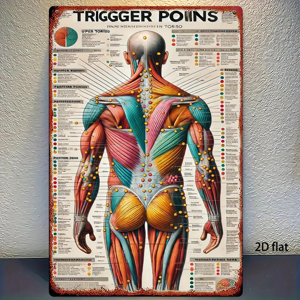 Vintage Muscle Trigger Points Metal Tin Sign Anatomy Wall Decor for Physiotherapy Clinic