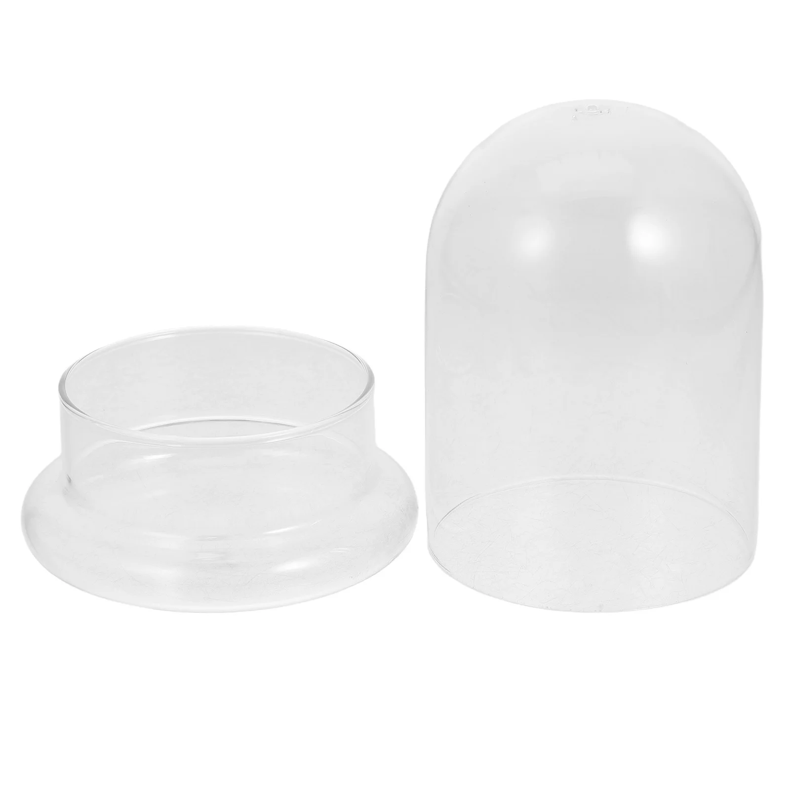 

Hydroponic Terrarium Jar Glass Lid Container for Succulents and Moss Multipurpose Dome Vase Florarium Display Base