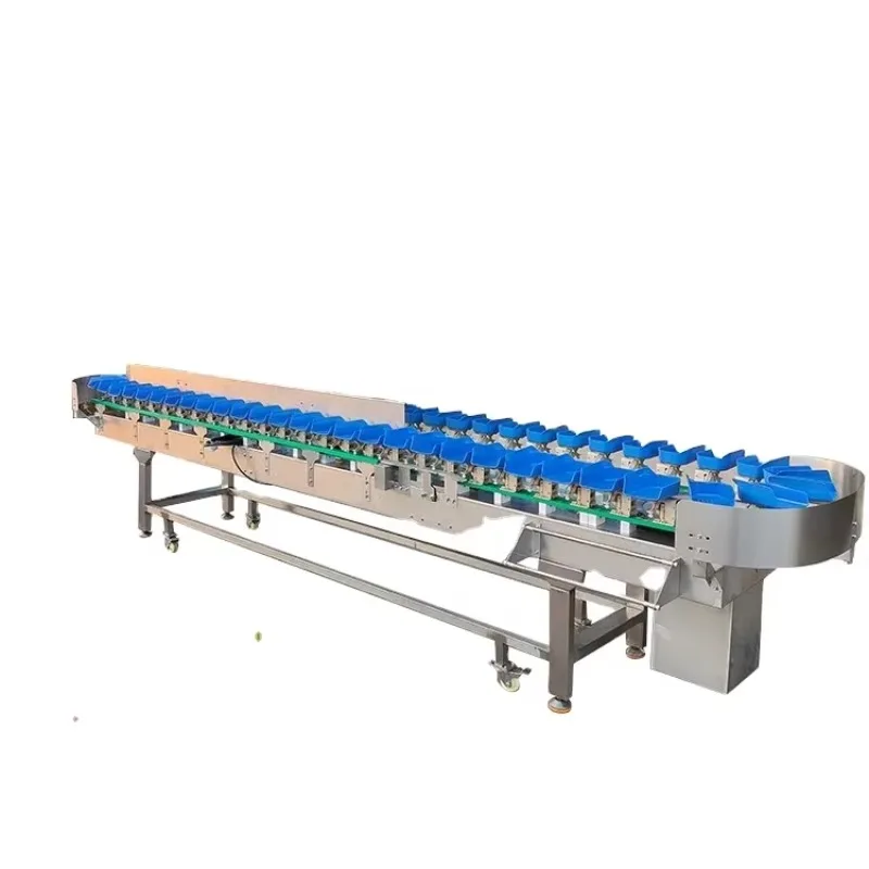 High Accurate Sorter Grader Classifier By Weight Sea Cucumber Crab Abalone Fish Vegetable Fruit Weighing Sorting Machine
