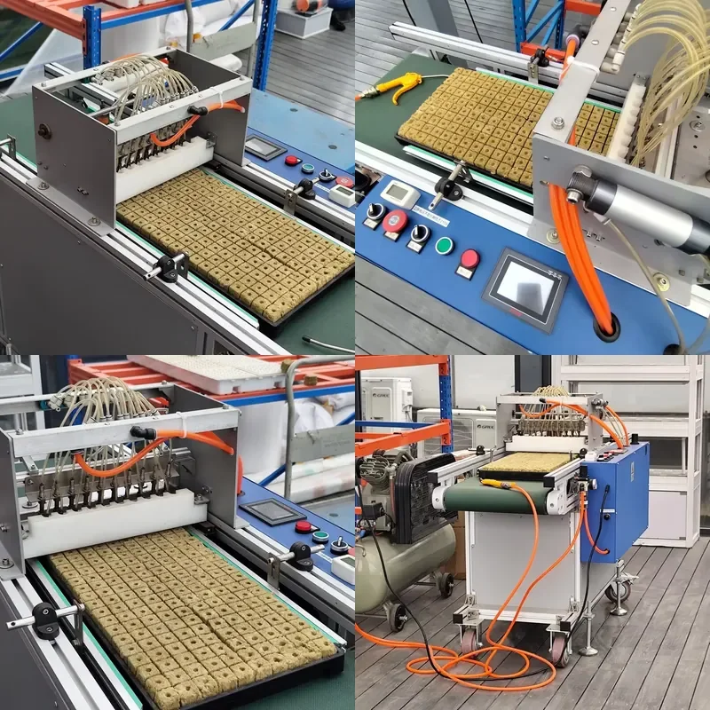 YWM Certificate Automatic Vegetable Seeder Seed Sowing Machine Line for Seedling Tray Paddy Seed Nursery Sowing Machine Rice