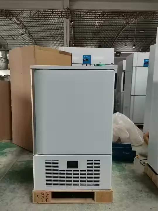 -40 Degree Blast Chiller Rapid Freezing Vertical Shock Freezer Cabinet Shockfreezer Blast Freezer Machine