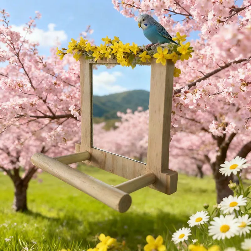 Bird Large Mirror Toy Perch Cage Toy for Parrot Parakeet Macaws Finches Small Parakeet Rope Stand Stick