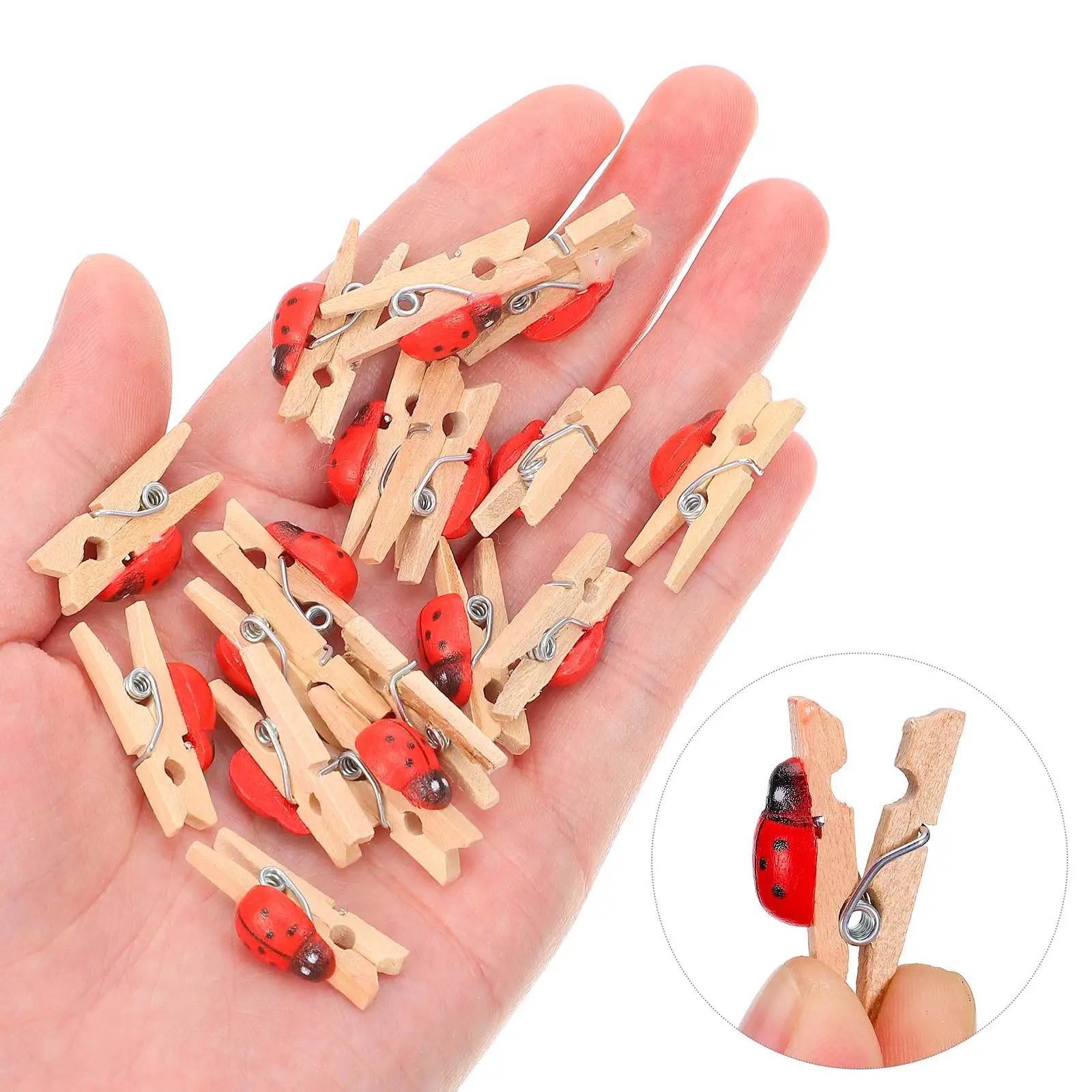 100 Pcs Clips Snack Holders Pegs Ladybug Little Craft Decoration Lovely Photo Wooden Picture Miss
