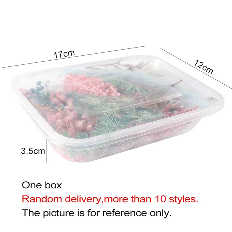1 Box Dried flowers For Party Festival Decoration Epoxy Resin Real Dry Plant Making Photo Frame Souvenirs Craft DIY Accessories