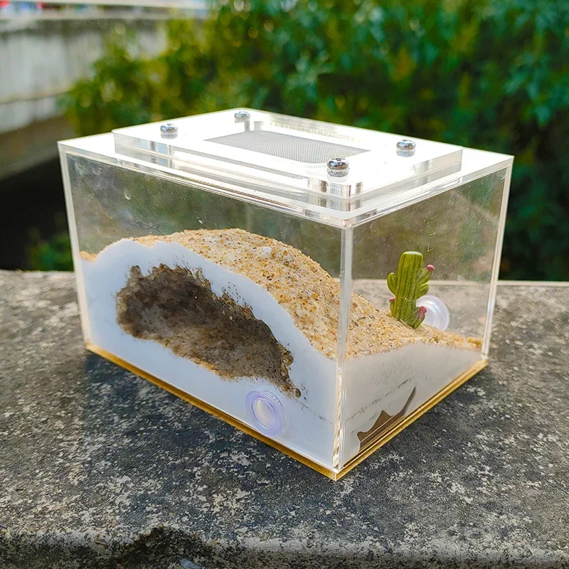 Shiwang Ant House DIY Mini Imitation Original Ecological Gypsum Ant Nest Pet Ant Castle Workshop Home