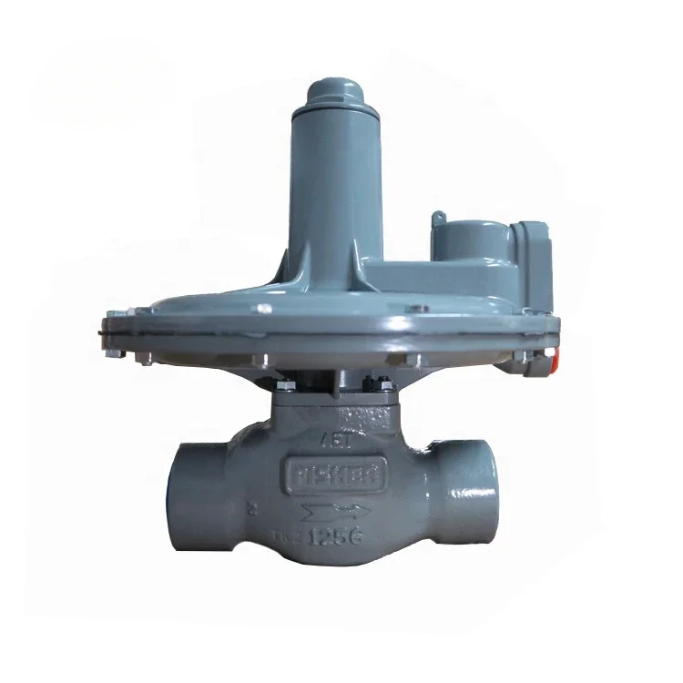 133L-1 133L-2 133L-3 133L-4 133L-5 133-6 133H 133-1065-10903  Fisher133L Pressure Regulator