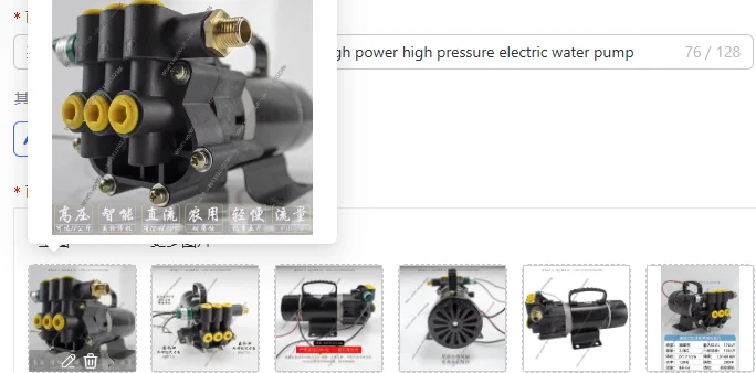

High Power 12V High Pressure Electric Water Pump / Chemical Dosing Pump