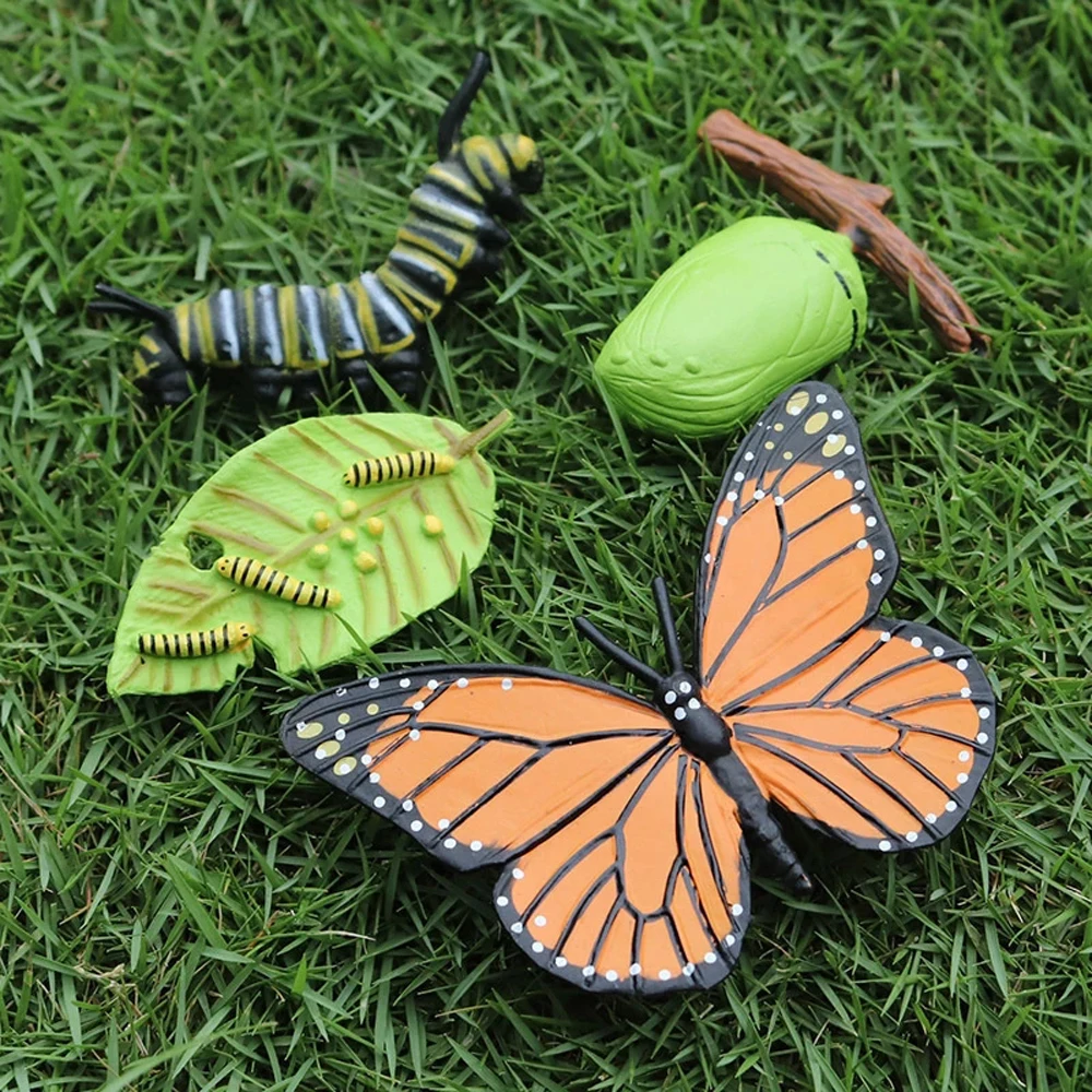 Biology Insect Animals Spider Chicken Plastic Models Growth Cycle Model Simulation Animals Life Cycle Figurine Action Figures
