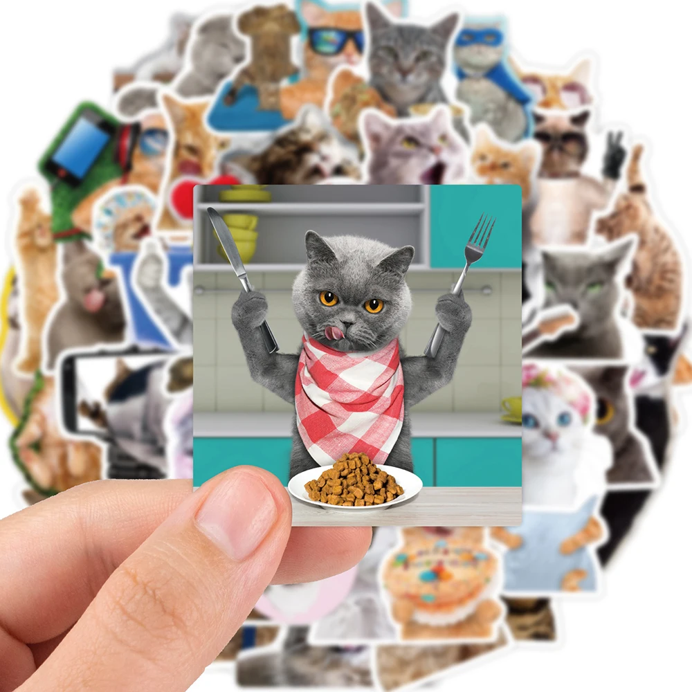 10/30/65pcs Funny Cute Cat Meme Stickers Kid Toy Scrapbook Notebook Motorcycle Laptop Car Phone Guitar Waterproof Sticker Decals