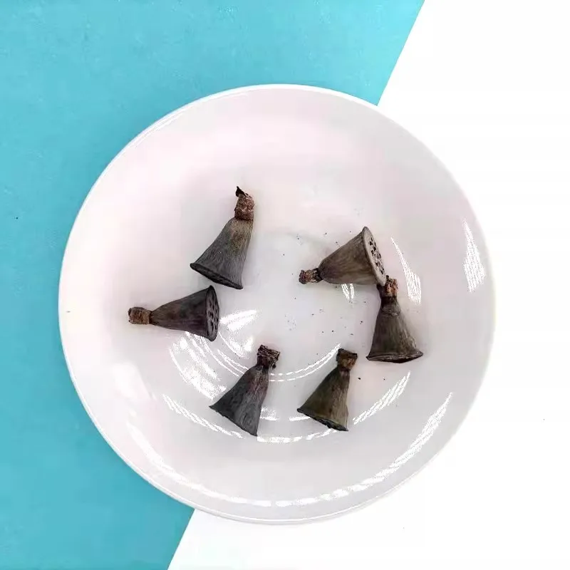 Small Natural Lotus Dried Flower, DIY Wedding Decoration for Home, Party, Office, Artificial Dried Flowers, 5Pcs per Bag