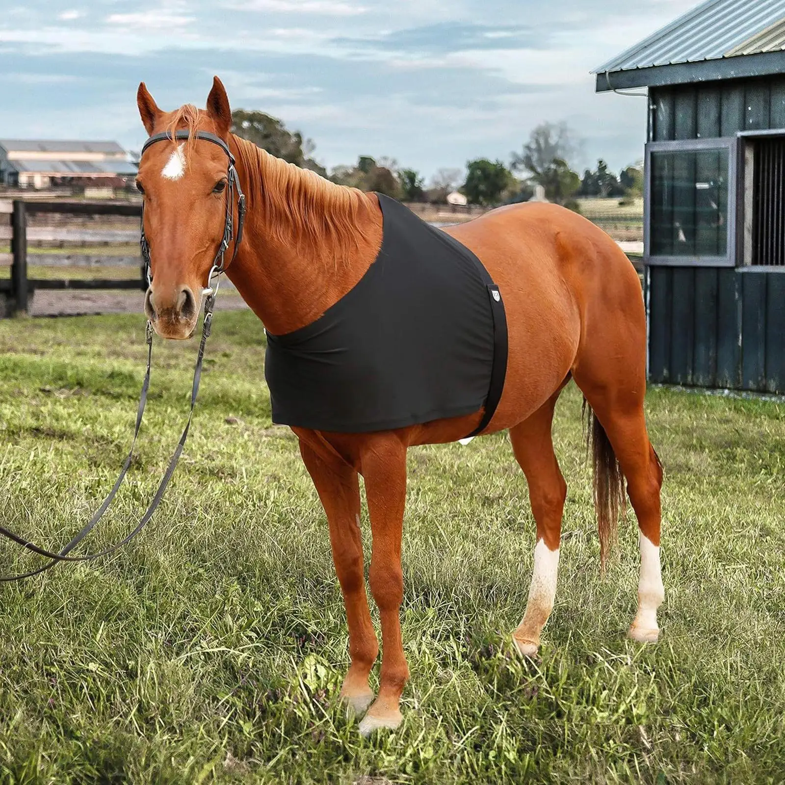 Paardenschouderbeschermer Spandex stof Paardensportaccessoires Montagebeschermer