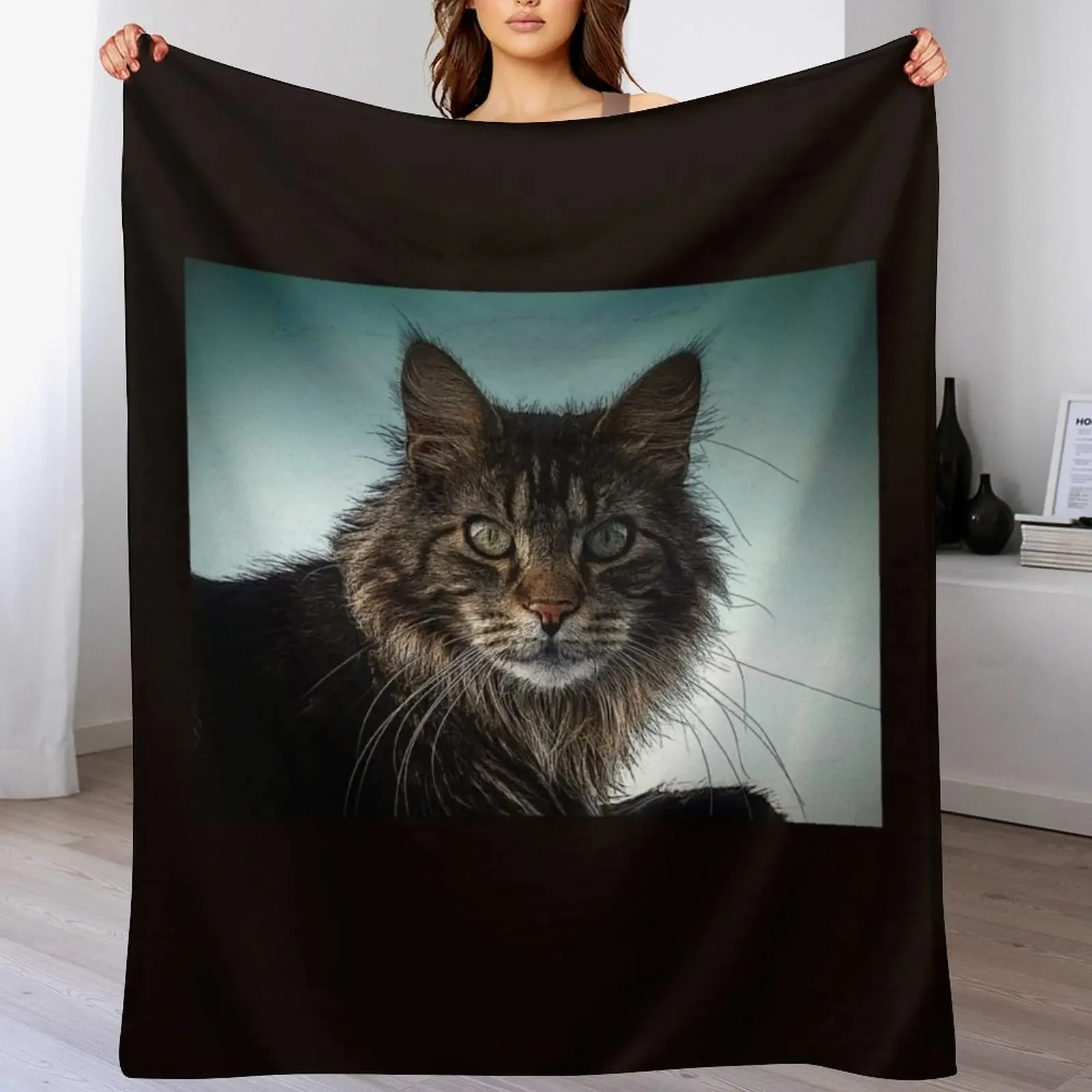 maine coon cat Throw Blanket Tourist Sofa Quilt Blankets