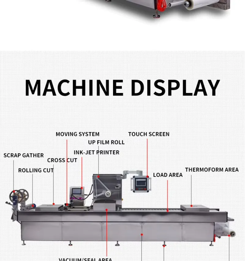 Automatic Cheese Vacuum Thermoforming Packing Machine Mozzarella Parmesan Block Sealer Commercial Sale Support Custom