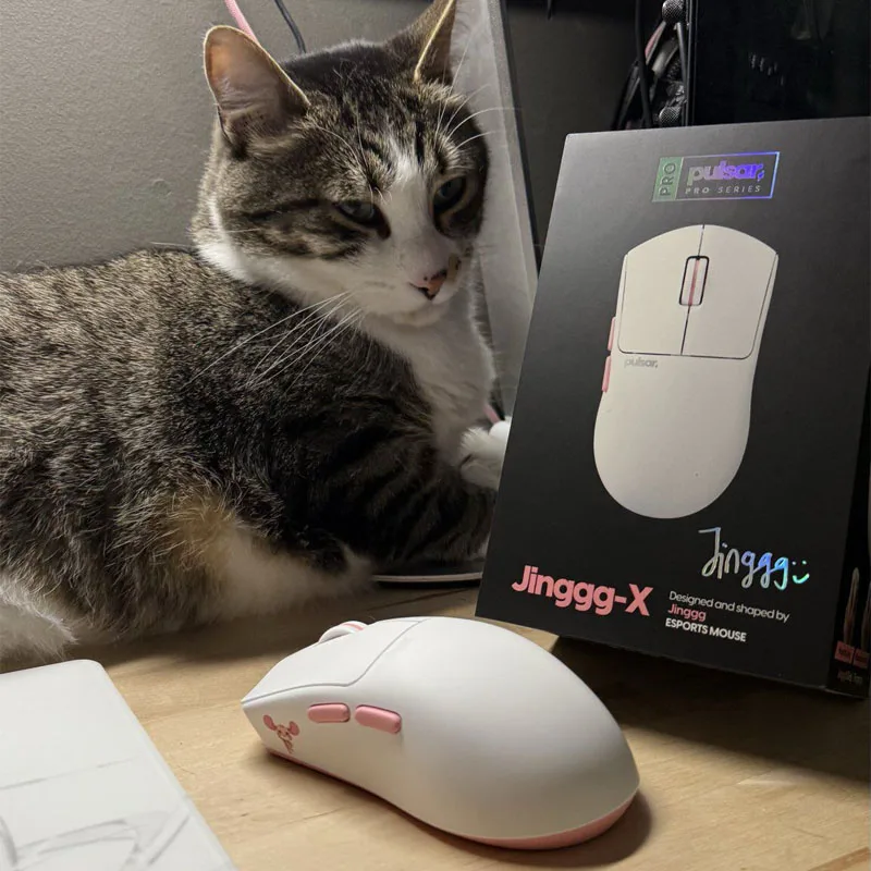 Pulsar Jinggg-X Wireless Gaming Mouse,Lightweight,PixArt XS-1 Sensor,8000Hz Polling Rate, Symmetrical Optical Switch Gaming Mice