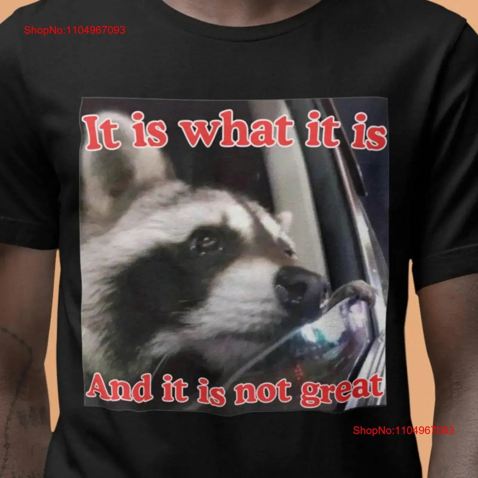 تي شيرت It Is What and Not Great Crying Raccoon Dank Meme Quote تي شيرت خارج الجيب فكاهة مضحكة قائلا Y2k عتيق عصري مغسول