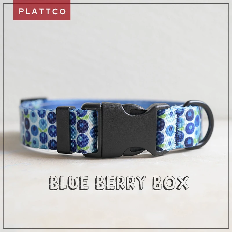 PLATTCO  nylon dog collar BLUE BERRY BOX personalized dogs collar with safety buckle for small medium large dogs 5 size PDC328