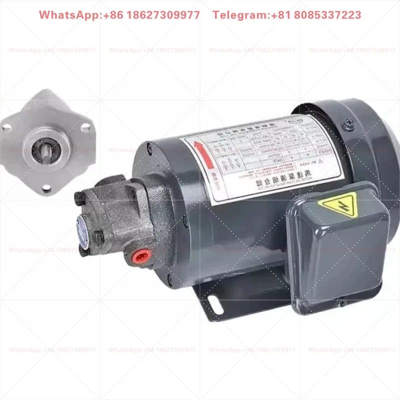 TOP-12A/13A Cycloid Oil Pump Motor ROP-11A Gear Oil Pump 380V Machine Tool Lathe Lubrication 220V