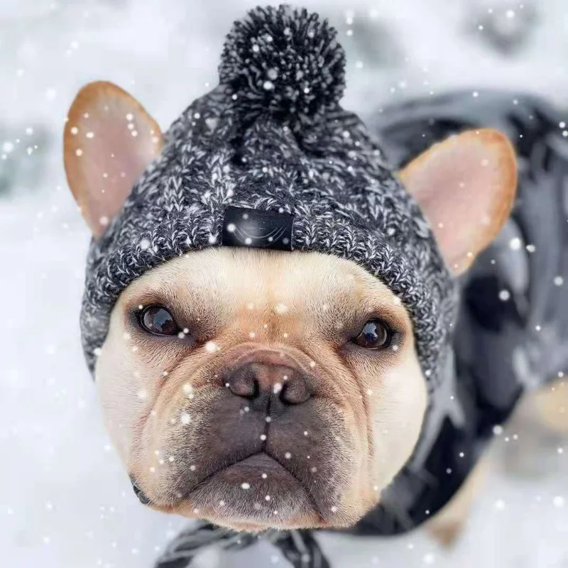 Winter Warm Dog Hats Windproof Knitting French Bulldog Chihuahua Hat Fluffy Ball Pet Hat Puppy Accessories