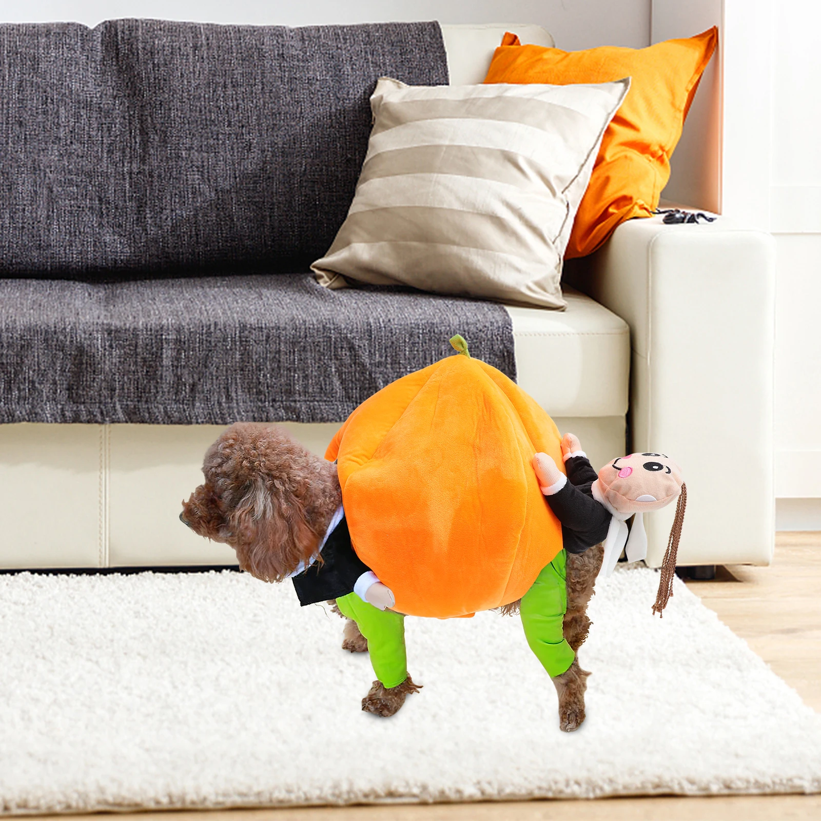 

Costumes Pumpkin Transformation Outfit Dogs Carrying Funny Custom Halloween Pets