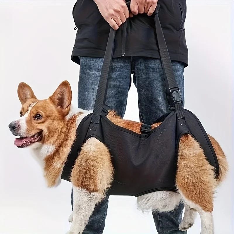 Machine Washable Adjustable Dog Support Harness for Elderly, Disabled Dogs - Pet Assistance Belt for Climbing Exercise.