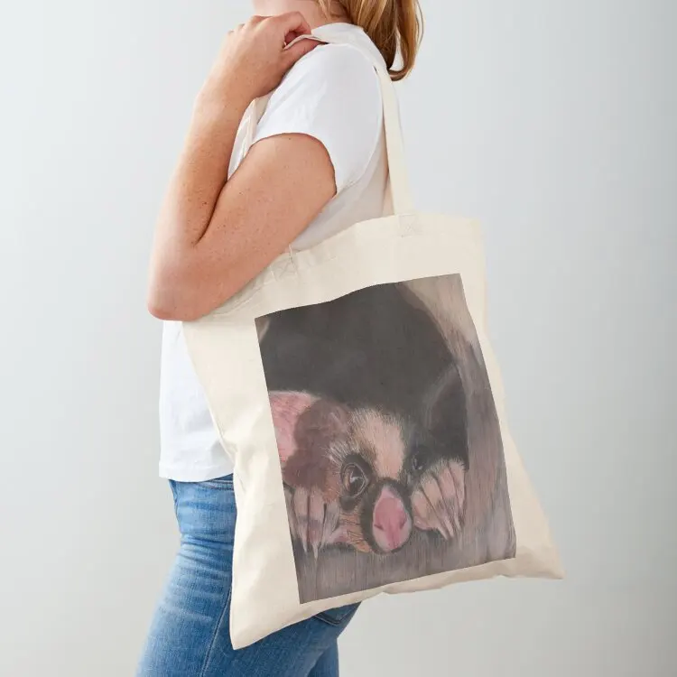 

Possum Magic Original artwork by Vivian Evans Tote Bag shopper bag woman tote bag Women's shopping Canvas shoulder