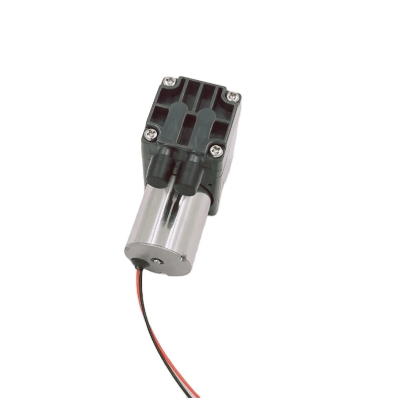 

DC brushless long life span high temperature food processing pump
