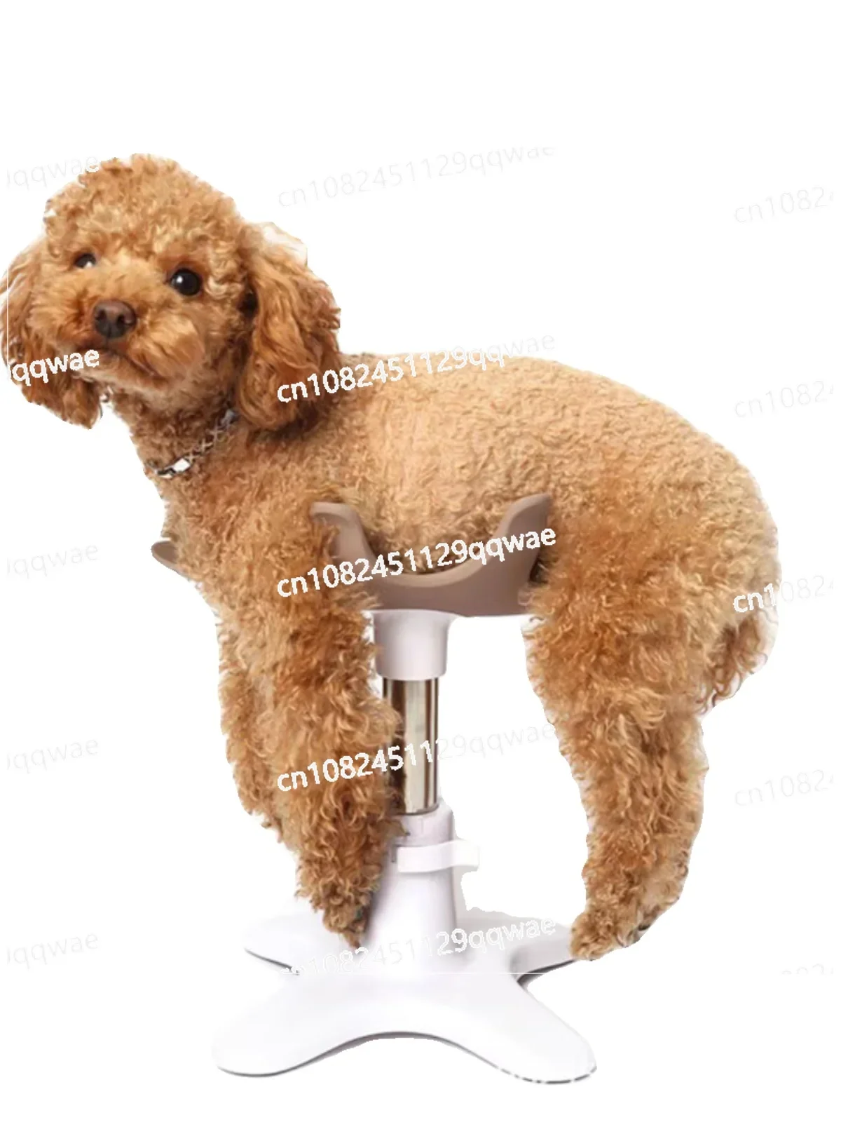 

Pet Bath Holder, Fixing Table, Hair Dryer Beauty Fixing Table, Base Shelf Beauty Vertical Floor