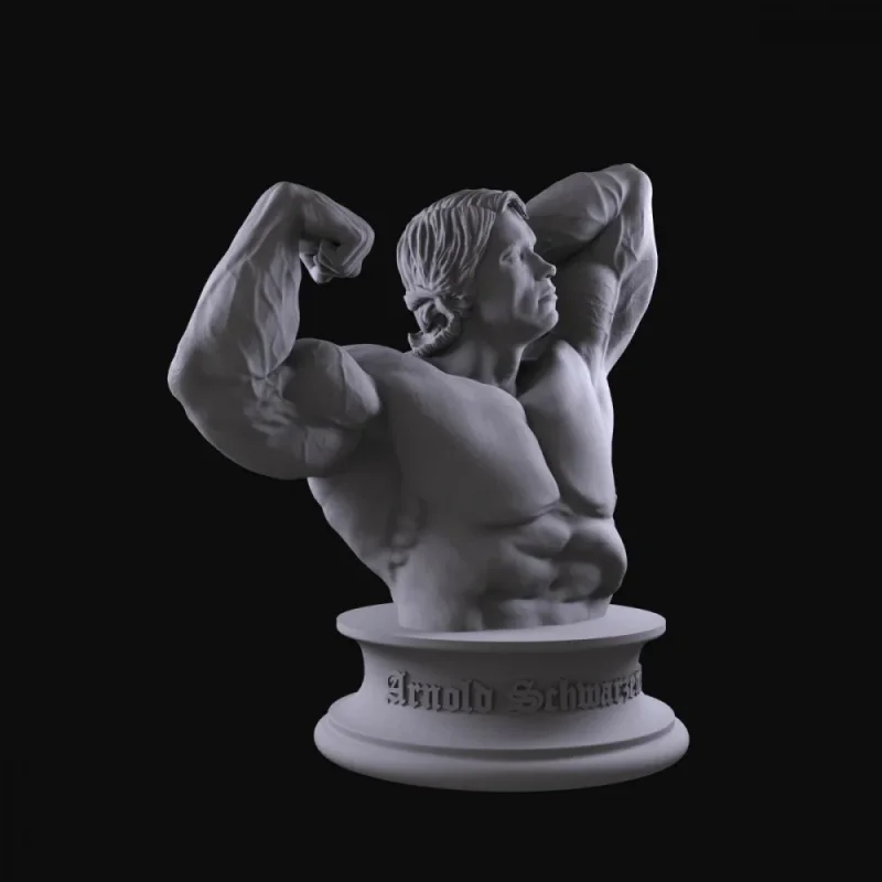 Fitness Trophy Model - Schwarzenegger Roni - High-Precision Detailed Plaster Bust as a Collectible Display Item as a Gift view 2