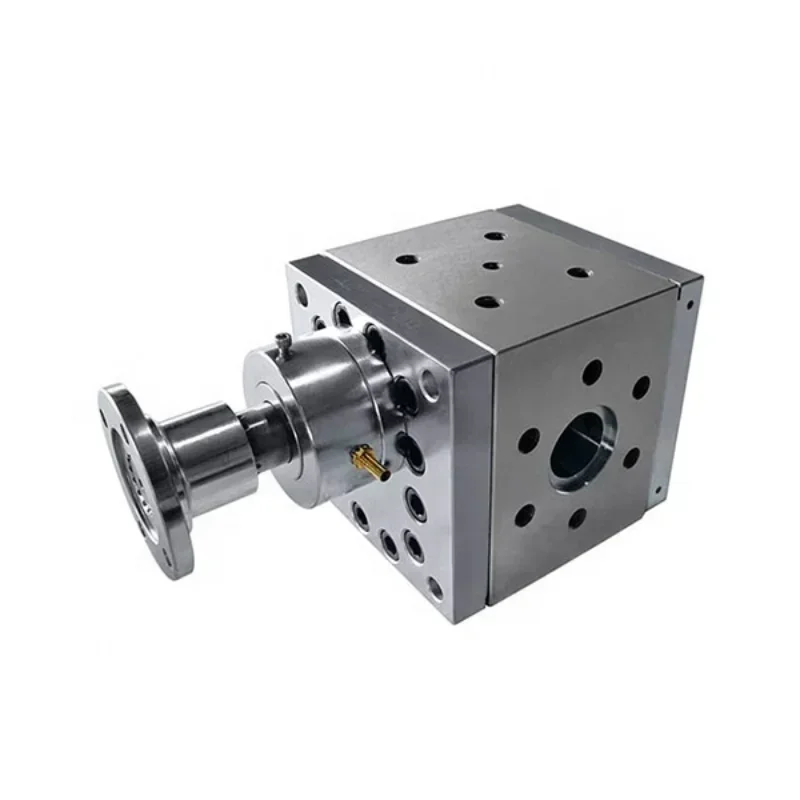 Extruder schmelz zahnradpumpen elektrische Schnecken pumpe Edelstahl 304 Mikro öl zahnradpumpe kleine hydraulische Zahnradpumpe