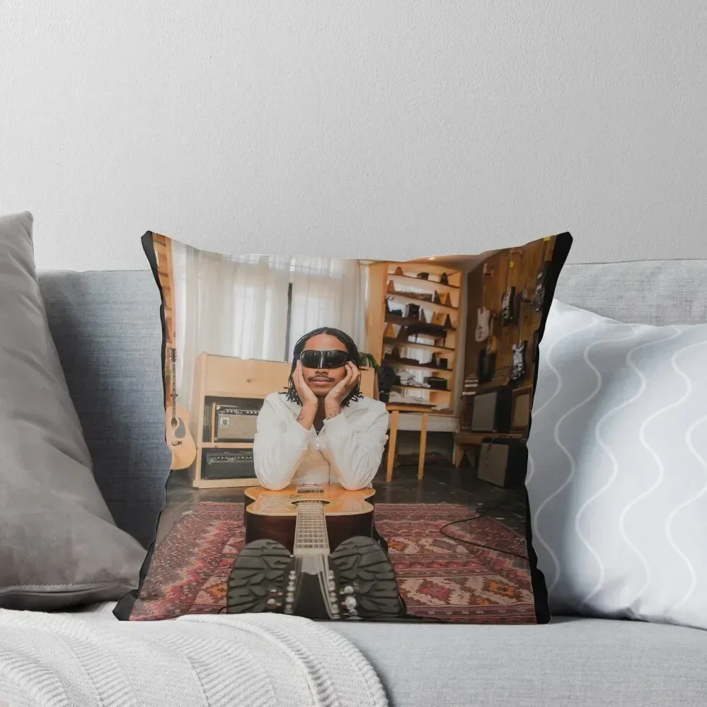 

Steve Lacey Poster Throw Pillow christmas decorations 2025 Covers For Sofas bed pillows pillowcases for sofa cushions pillow