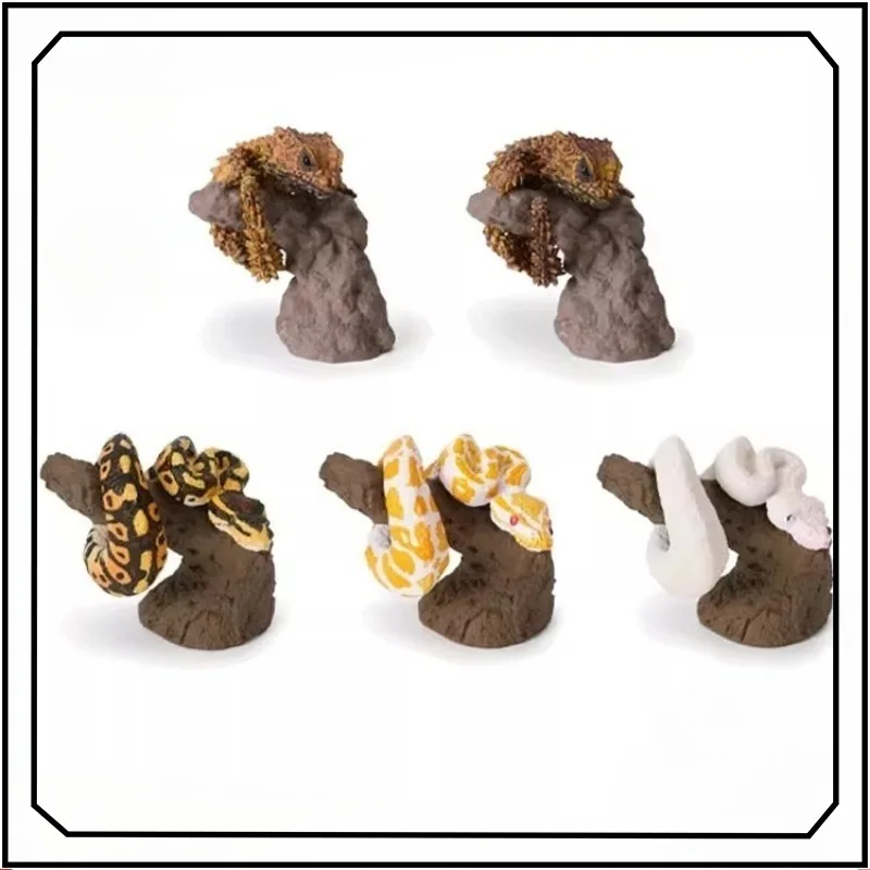 

Biology Illustrated Gashapon Circumferencing Animals Ball Python Armadillo Lizard Simulation Ornament