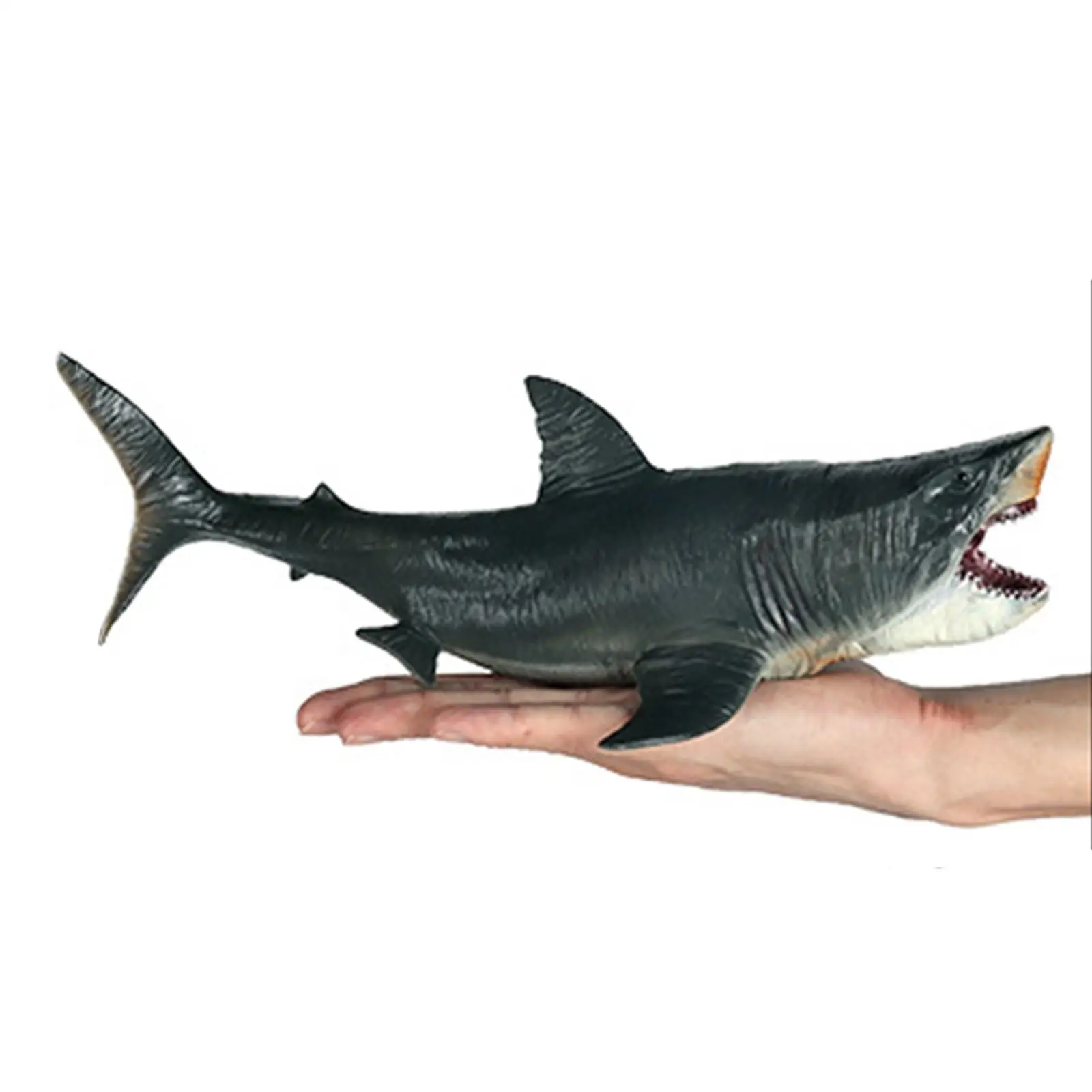 Figuras de acción de tiburón Megalodon, juego en miniatura, Animal, juguete