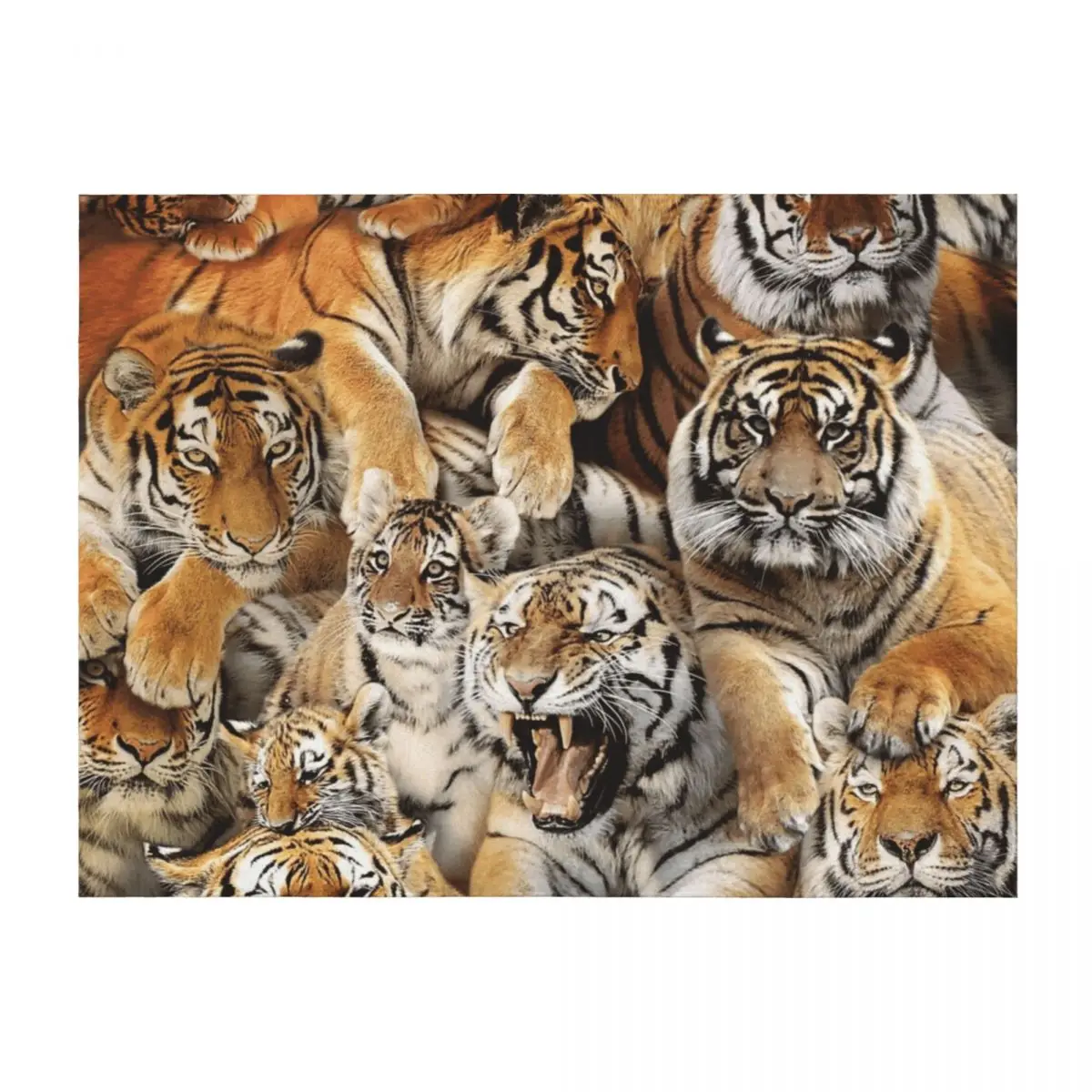 

Tigers Throw Blanket Bed wednesday Furry Blankets