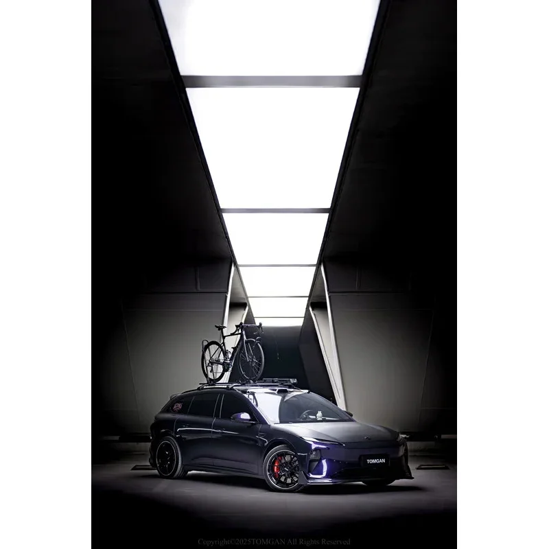 رف دراجة السقف العالمي | أنابيب الصلب + الملامح الألومنيوم + PA المقوى + الفولاذ المقاوم للصدأ، -سرقة #5