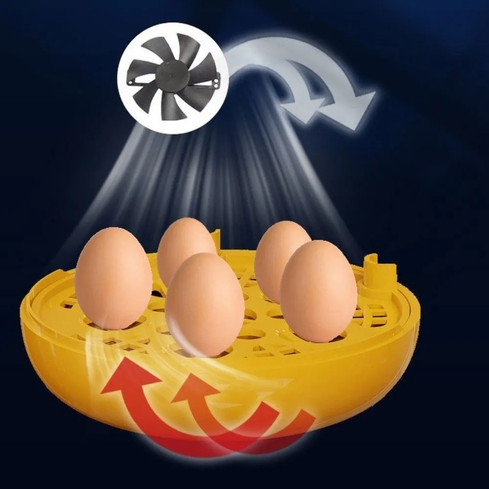 Transparent Window Eggs Incubator Humidity Control Low Noise Eggs Hatcher Machine Automatic Temperature Control Sturdy