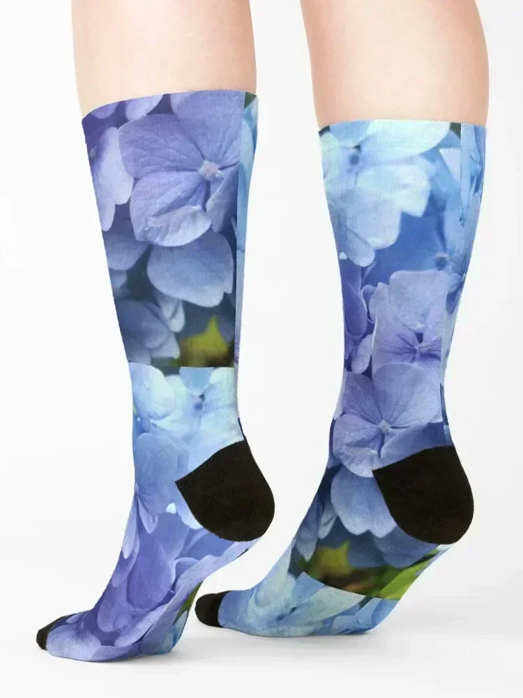 Blue hydrangea photograph Socks hiphop Argentina snow funny gifts Boy Child Socks Women's