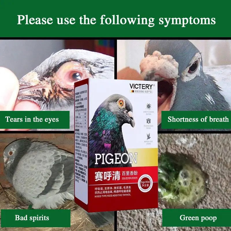 

Pigeon Respiratory Support Defense Against Trichomonas, Mycoplasma, Chlamydia for Pigeon Respiratory Care