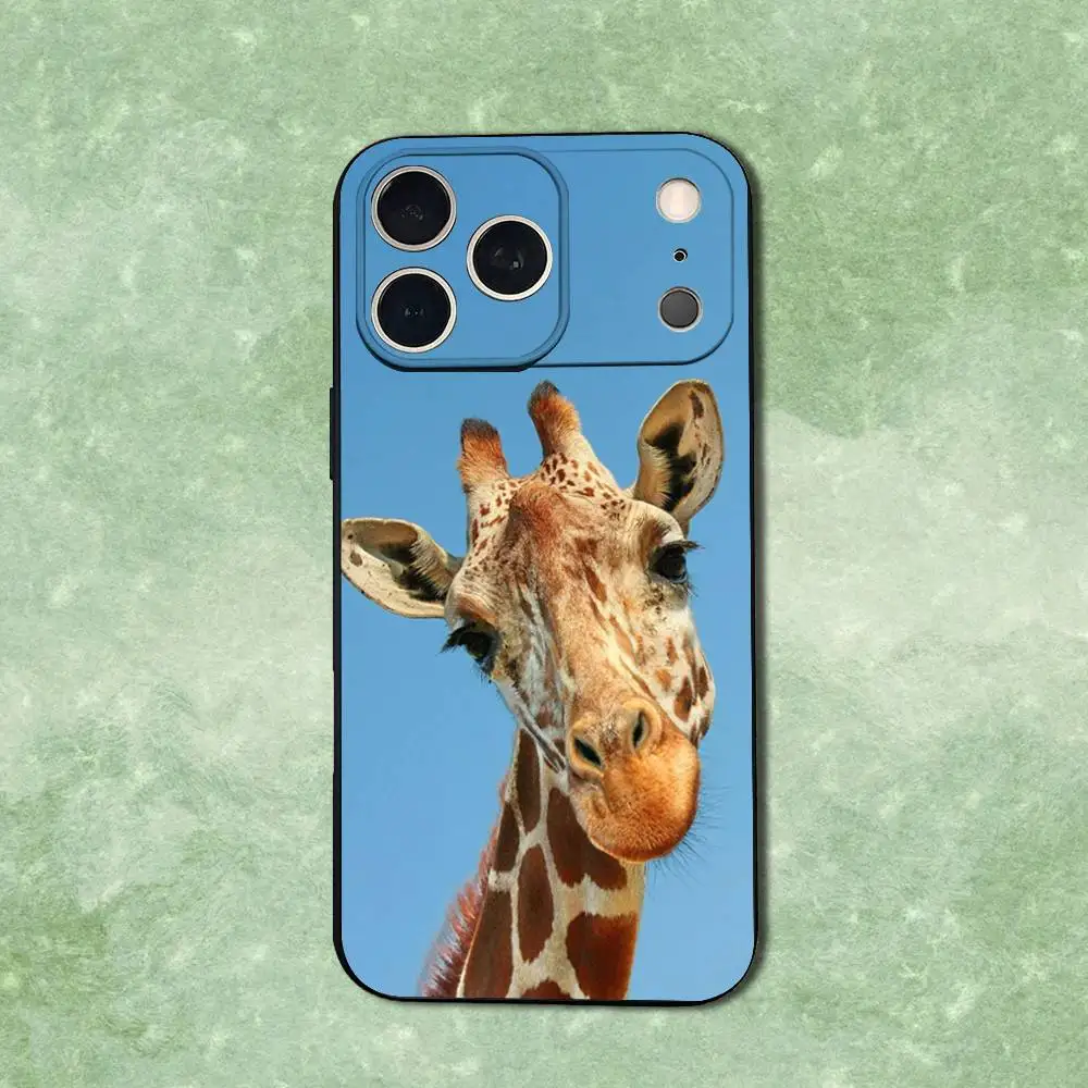 حافظة هاتف على شكل حيوان زرافة لهاتف آيفون 14,13,17,12,11,16,15,Plus,Pro Max,XS,X,XR,SE,Mini,Soft غطاء أسود من السيليكون الناعم