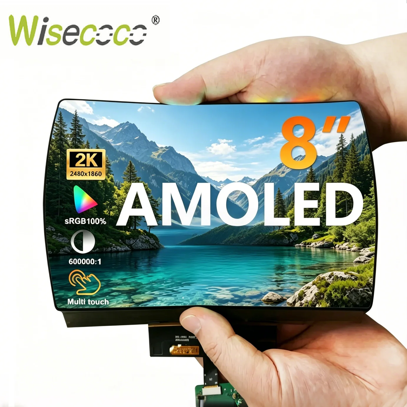 Wisecoco 8 Inch Tou…