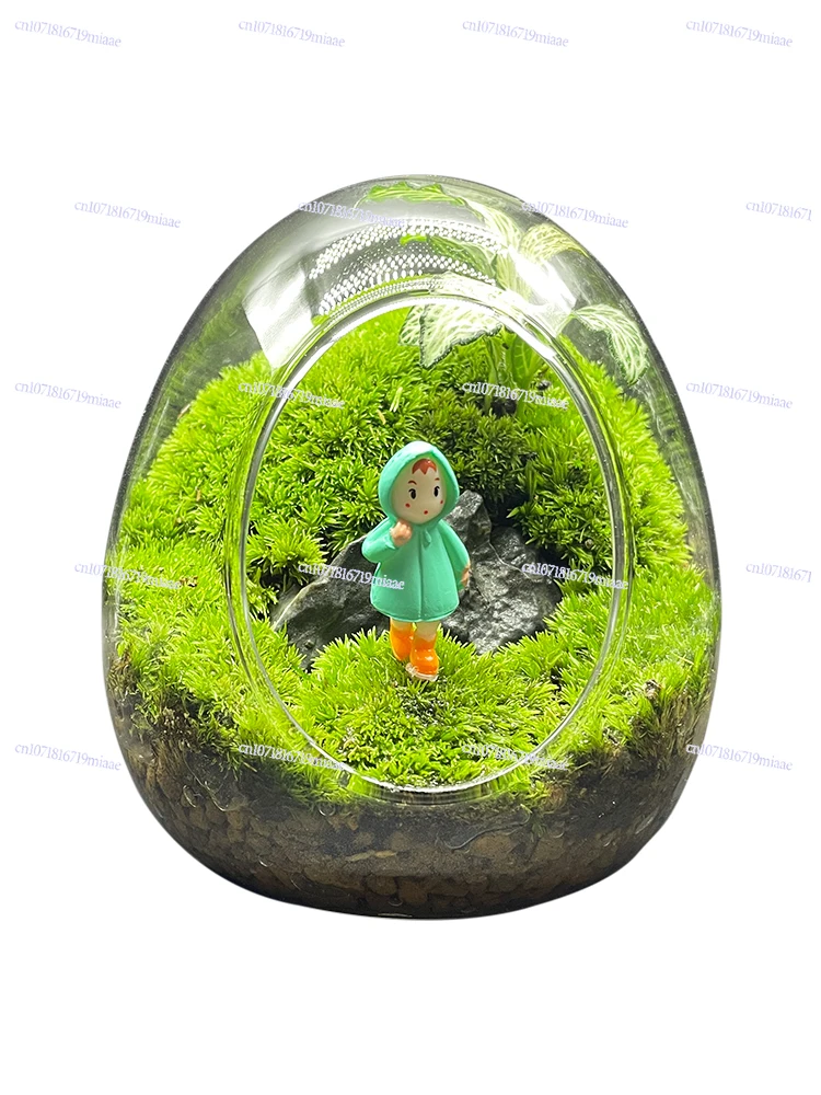 

Creative eggshell ecological glass bottle, bottle moss small micro landscape, tabletop green plants potted plants