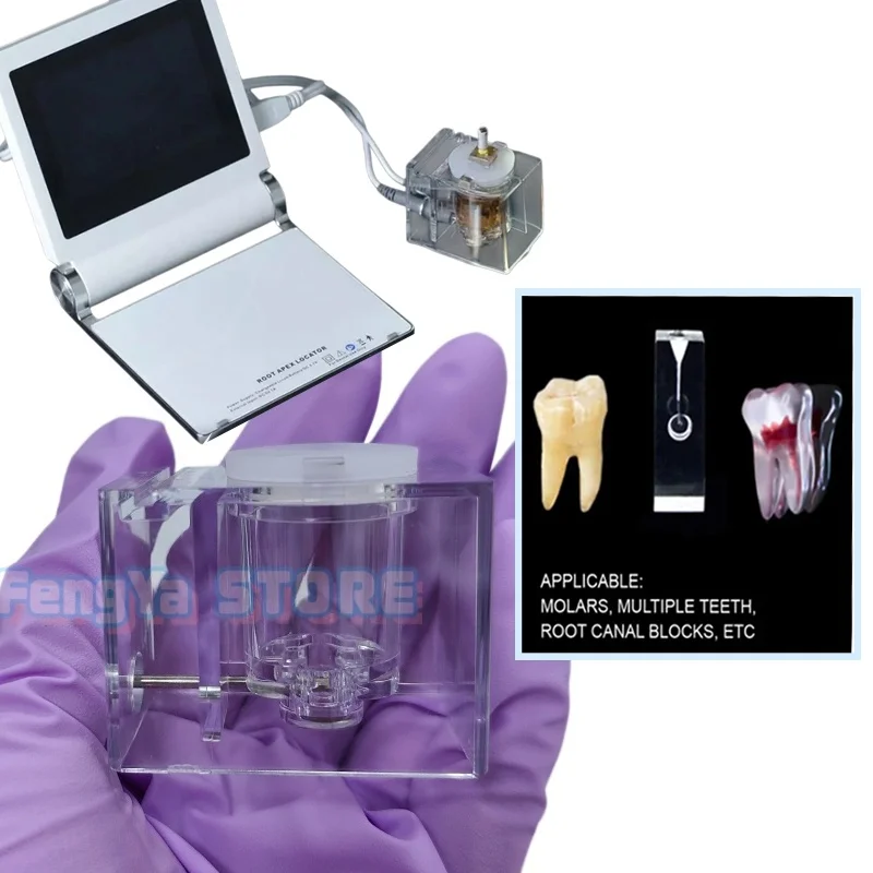 1 Set Simulation Oral Root Canal Exercise Model Dental Root Canal Training Model Exercise Root Canal Treatment Practice Model