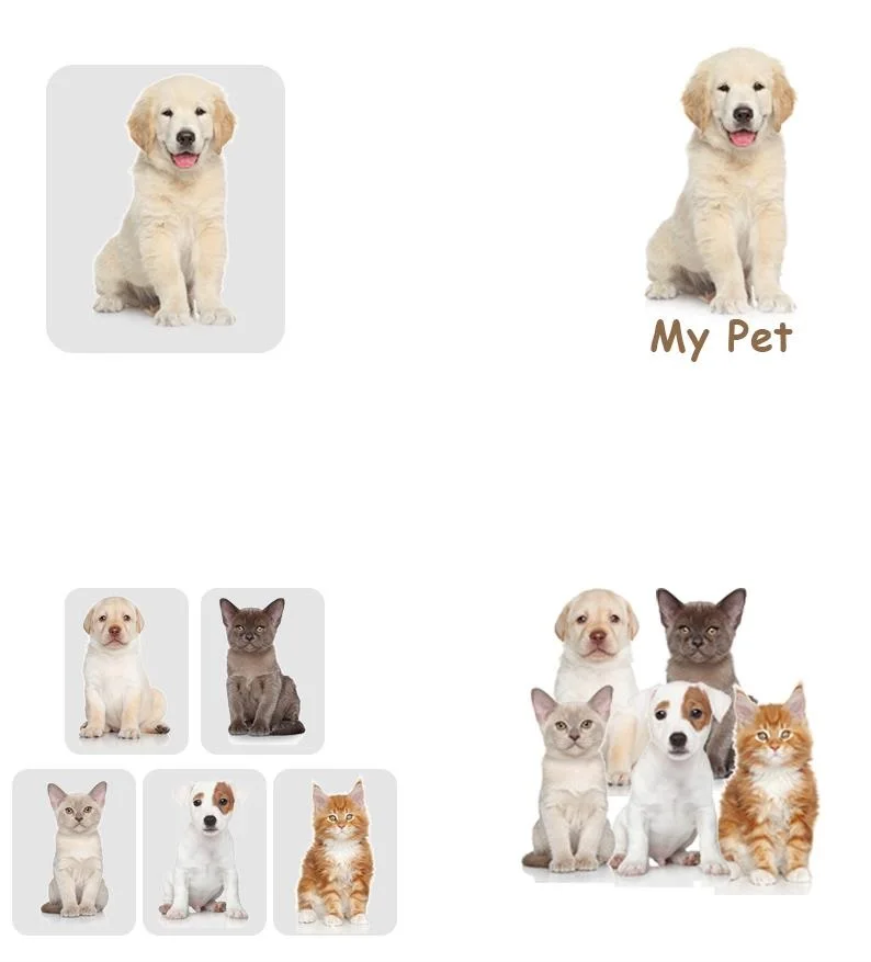 Pet Photo T Shirt Customized Printed Logo Top Shirt Cat Dog Pattern Custom Couple Clothing Work Clothes Short Sleeve DIY