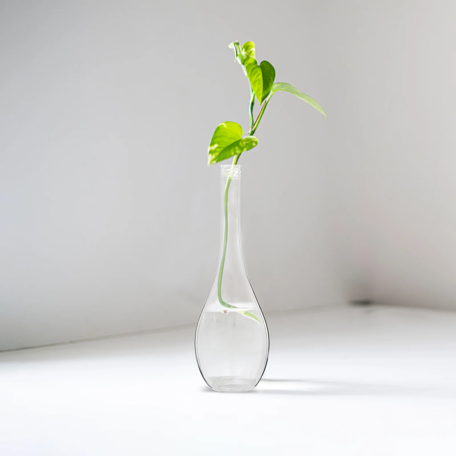 

1Pcs Glass Flowerpot High Borosilicate Wide Bottom Vase Elegant Simple Style Hydroponics Plant Pot Desktop Ornament for Home