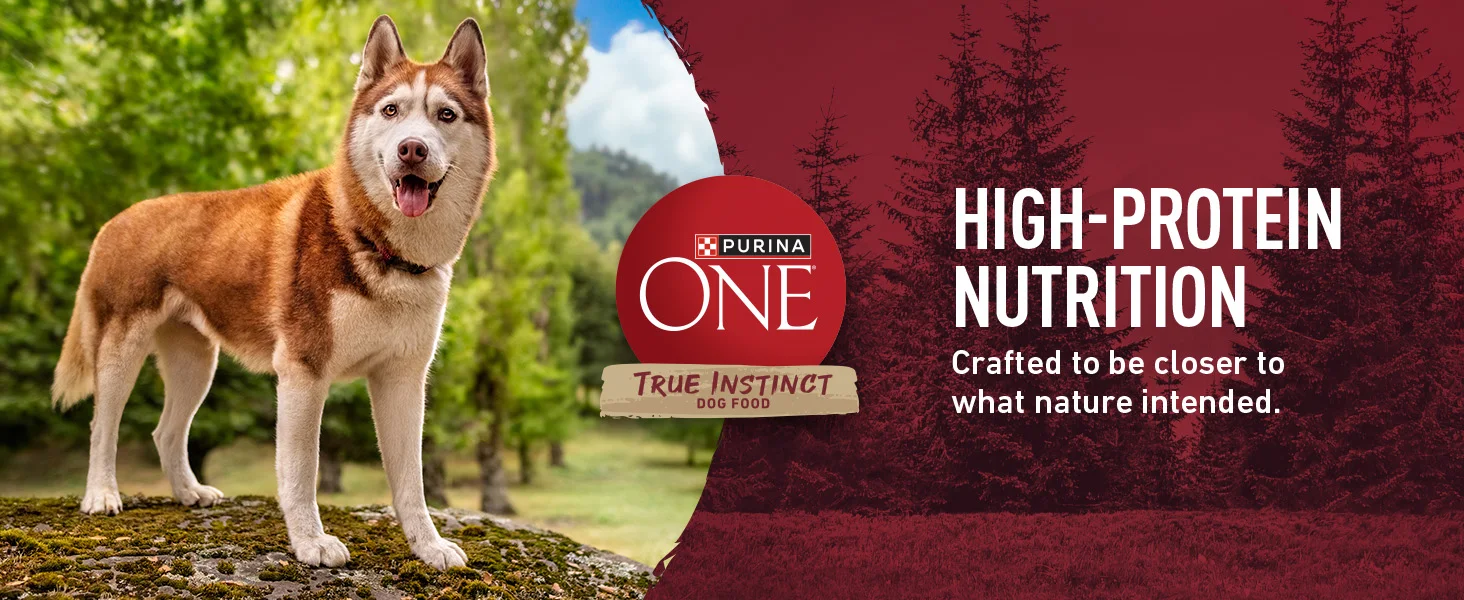Photo of a dog standing next to a logo of Purina ONE True Instinct Dog food
