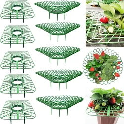5/10pcs Strawberry Supports Cultivation Frame Support Rack Growing Strawberries Square Planting Plastic Stand Garden Tools