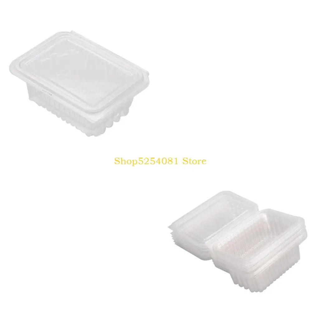 AXYC Durable Honeys Section Cutter Stainless Steel for Beekeepers Includes 10 Boxes