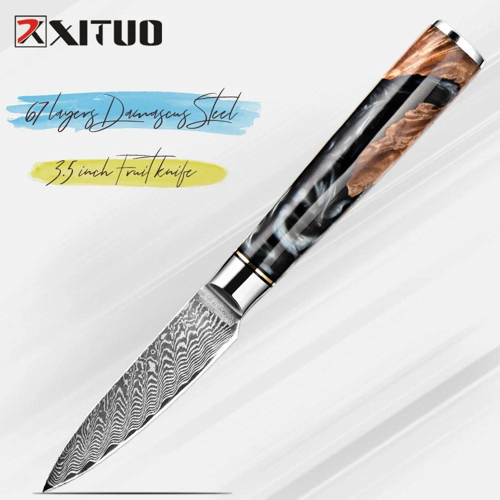 

XITUO High Quality Fruit Knife 3.5 Inch Professional Paring Knife Kitchen Knife Damascus Steel Peeling Knife Black Resin Handle