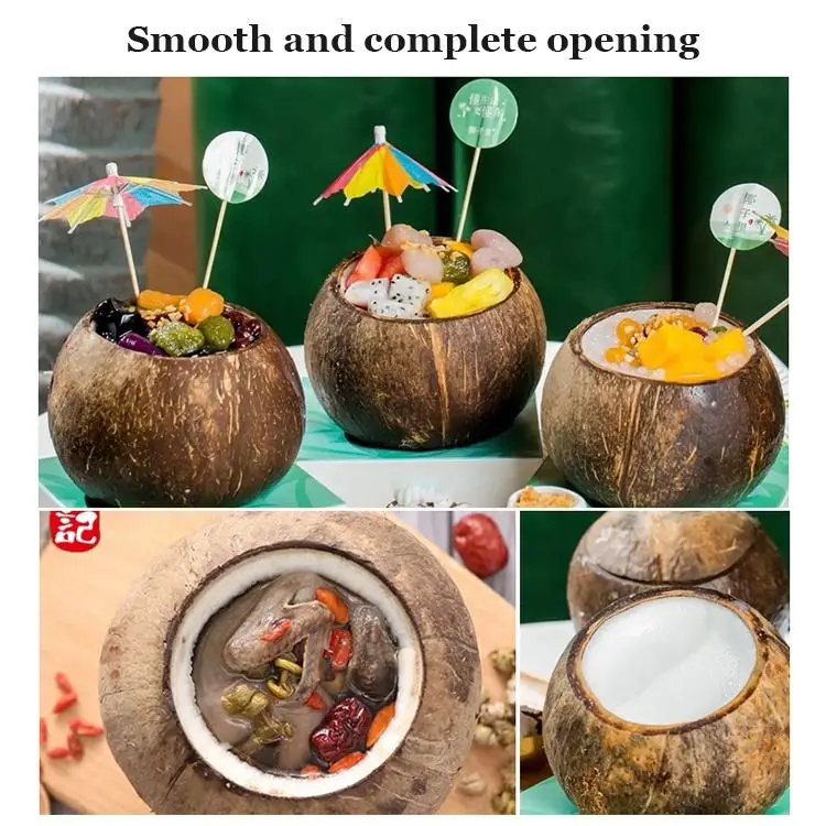 Coconut Cutting Machine Dry