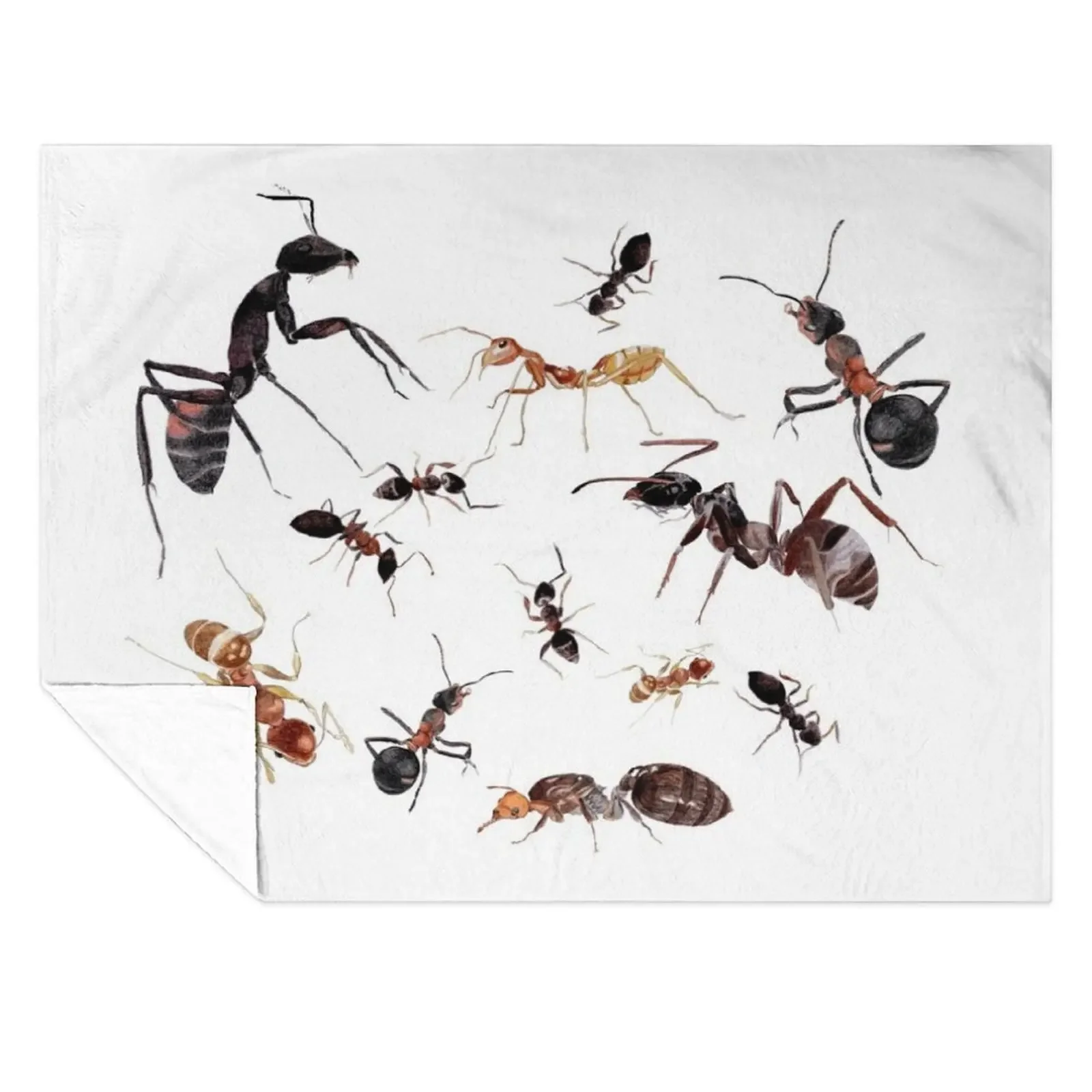 

A Medley of Ants Throw Blanket Summer Beddings Quilt christmas decoration wednesday Blankets