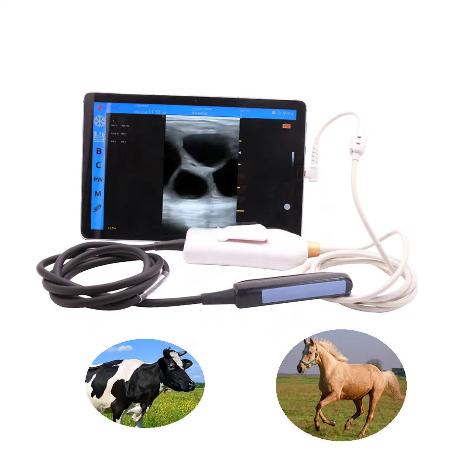 Ecografo Veterinario Cattle Ultrasound Portable USB Rectal Probe Ultrasound Machine for Cattle Horse Bovine Equine